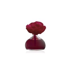 AMBIENTADOR FRESH ROSE