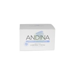 ANDINA CREMA DECOLORANTE  1...