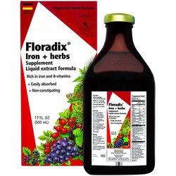 FLORADIX ELIXIR  1 ENVASE 250 ML