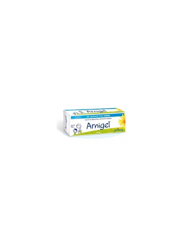 ARNIGEL  120 G