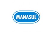 MANASUL INT